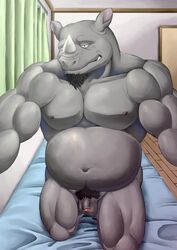 balls bedroom colored looking_at_viewer male male_only mammal muscular nude pecs penis rhinoceros solo toorin uncut