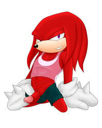 darthglacier echidna knuckles_the_echidna male male_only mammal monotreme penis solo sonic_(series) sonicharinezumi