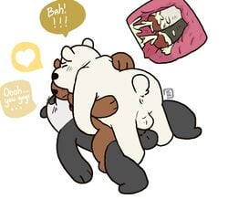 anal anal_sex backsack balls bear bowserboy101 cum cum_inside double_penetration grizzly_(character) grizzly_bear group group_sex ice_bear internal male mammal panda panda_(character) penetration penis polar_bear sex threesome we_bare_bears yaoi