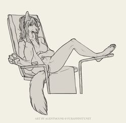 2015 agentmoose anthro bernese_mountain_dog breasts canine chair female hair long_hair mammal nude pussy solo spread_legs spreading