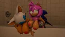 3d 3d_model amy_rose amy_rose_(kabalmystic) bathroom bathroom_sex big_breasts blue_fur breasts furry hedgehog huge_breasts jessen kabalmystic mammal mobian mobian_(species) mobian_bat rouge_the_bat rouge_the_bat_(kabalmystic) sega sonic_(series) sonic_adventure_2 sonic_the_hedgehog sonic_the_hedgehog_(series) source_filmmaker threesome trio