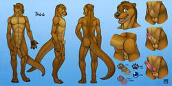 1boy 2015 4_toes abs abstract_background animal_genitalia anthro anus ass backsack balls blue_eyes brown_fur claws clothed clothing erection flaccid fully_sheathed fur grin half-dressed knot knot_in_sheath looking_at_viewer male male_only mammal model_sheet multiple_angles muscular mustelid nude open_mouth otter paws pecs penis sheath simple_background smile solo tagg_(cgibeast) toe_claws toes tongue topless tsaiwolf underwear webbed_hands