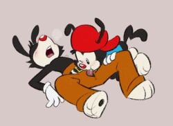 2boys animaniacs blush blushing cub feet furry furry_only gay moaning pants penis penis_in_mouth precum sucking sucking_penis wakko_warner warner_brothers yakko_warner yaoi