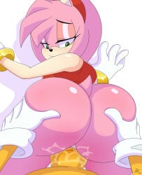 amy_rose anal anal_penetration anal_sex ass big_breasts cum dalley_le_alpha grabbing_ass looking_back looking_down ntr plump_ass precum round_ass sonic_(series) tails_the_fox wet