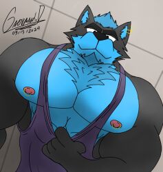 blue_fur bottom_view ceiling ceiling_light cleavage giovannidrawing gray_fur muscles nipples pec_cleavage pecs pectorals tank_top tank_top_down wolf