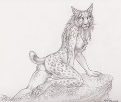 2015 4_toes all_fours anthro anus ass barefoot breasts claws closed_mouth digitigrade feline female female_only fur furry_ass furry_breasts furry_ears furry_tail greyscale hair leaves long_hair looking_aside looking_at_viewer lynx mammal monochrome nipples nude open_eyes pawpads paws pencil_(artwork) pinup pointy_ears portrait pose pussy raised_tail rock rukis shivah side_view simple_background sketch smile solo spots tail traditional_media_(artwork) tribal whiskers white_background