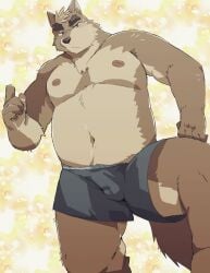 2025 absurd_res anthro arufina_w belly brown_body bulge canid canine canis clothing domestic_dog hi_res humanoid_hands kemono male mammal moobs navel nipples overweight overweight_male solo underwear