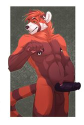 1boy anthro black_penis brown_fur ear_piercing erection furry l-i-t-t-l-e_f-i-r-e male male_only mammal nipple_piercing nipples nude penis piercing red_panda smile solo standing tail teeth testicles veins veiny_penis