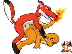 1boy 4:3 ambiguous_gender animated blue_eyes bodily_fluids canine charmander cum edit female fox furry genital_fluids green_eyes half-closed_eyes low_res male mammal nintendo open_mouth penis pokémon_(species) pokemon pokemon_rgby simple_background surfing_charizard text tongue tongue_out video_games watermark white_background