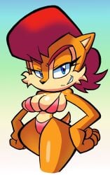 bikini cameltoe female furry sabs3 sally_acorn sonic_(series) sonic_the_hedgehog_(comics) sonic_the_hedgehog_(series)