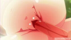 animated animation audible_creampie cum_in_pussy elf fern_(sousou_no_frieren) frieren hiding longer_than_one_minute purple_hair sneaking sousou_no_frieren stark_(sousou_no_frieren) tagme uncensored video voice_acted