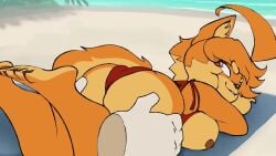 1girls 2026 2d animated anthro apsel_bluestar ass ass_focus beach beach_background breasts breasts_out canine disembodied_hand disembodied_hands feet feet_up female female_focus fondling fondling_ass fur furry furry_female furry_only jiggling_ass longer_than_10_seconds looking_back looking_back_at_partner loop lying_on_stomach maci_(ceehaz) nipples no_sound orange_body orange_eyes orange_fur playing_with_ass shorter_than_30_seconds swimsuit swimwear tagme tail tits tits_out twitter_link video