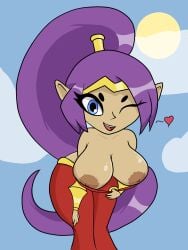 absurd_res areola breasts brown_areola brown_nipples dark_body dark_skin female genie hair hi_res humanoid nipples one_eye_closed pointy_ears ponytail shantae shantae_(series) solo teasing twistednature wayforward wink
