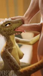 sah-ra_(furromantic) furromantic_(modeler) peresvet_(artist) animated gif loop looping_animation shorter_than_10_seconds short_playtime male female male/female 1boy 1girls 1boy1girl argonian scale anthro furry duo skyrim bethesda_softworks straight penis big_penis huge_cock penis_in_mouth balls fellatio blowjob tongue tongue_out tongue_out_blowjob breasts big_breasts nipples areolae