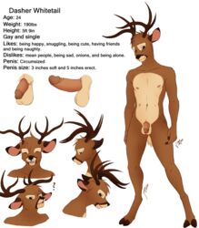 antlers balls cervine dasher_whitetail deer erection flaccid horn humanoid_penis male mammal model_sheet penis solo solo_male vilani