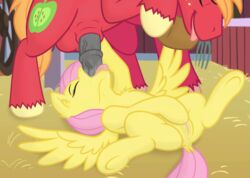 2015 animal_genitalia animated balls big_macintosh_(mlp) blowjob clitoral_winking clitoris cutie_mark deep_throat deepthroat equine erection fellatio female feral fluttershy_(mlp) friendship_is_magic genitals horsecock htpot male mammal masturbating_during_fellatio masturbation my_little_pony nude oral oral_penetration pegasus penetration penis penis_in_mouth poprocks pussy pussy_juice sex straight tongue tongue_out tongue_out_blowjob vaginal_masturbation vein wings