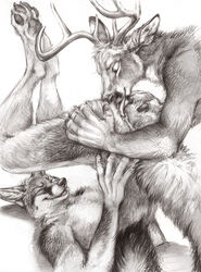 2015 anal anthro antlers anus ass ass_grab canine cervine claws closed_eyes deer duo fox grey_fox hand_on_ass horn kenket looking_down lying male mammal monochrome nude on_back open_mouth oral pawpads paws rimming sex simple_background sketch smile spread_ass spreading tail tongue tongue_out white_background yaoi