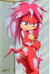 anthro anus archie_comics areola ass bbmbbf bottomless breasts clothed clothing daughter echidna female fur hair half-closed_eyes lara-su looking_at_viewer looking_back mammal mobius_unleashed monotreme nipples nude palcomix pink_hair purple_eyes pussy rear_view red_body red_fur seductive shower solo sonic_(series) sonic_the_hedgehog_(archie) sonic_the_hedgehog_(comics) two_tone_body washing wet