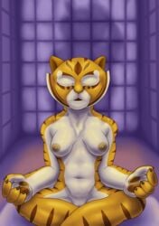 abs anthro anthro_only breasts cross-legged crossed_legs dreamworks feline female front_view inside kung_fu_panda mammal master_tigress meditating muscular navel nipples nude peaceful sacrificabominat solo tiger