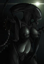 alien alien_(franchise) alien_girl breasts female female_xenomorph netherwulf pussy solo xenomorph