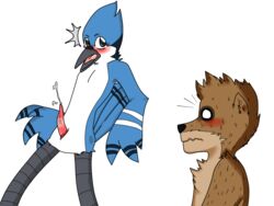 after_masturbation animal_genitalia anthro avian beak bird blue_jay blush cartoon_network caught cloaca cum cumshot feathers fur male male_only mammal mordecai muzzle_(object) muzzled orgasm penis raccoon regular_show rigby ryutzke_douga_(artist) shocked surprised tongue yaoi