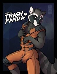 2017 anthro artist_name athletic athletic_male black_body black_fur black_nose bottomwear brown_eyes bulge cheek_tuft clothed clothed_male clothing d3mo english_text facial_markings facial_tuft fur guardians_of_the_galaxy head_markings head_tuft heart_symbol hi_res inner_ear_fluff jumpsuit knee_pads looking_at_viewer male male_anthro mammal markings marvel mask_(marking) opening_jumpsuit pants procyonid raccoon rocket_raccoon signature solo star striped_markings striped_tail stripes tail tail_markings text tuft white_body white_fur white_inner_ear_fluff