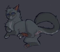anus blue_eyes blush blush_lines cinderpelt_(warriors) countershading domestic_cat facial_markings felid feline felis female feral fluffy fluffy_chest fur genitals grey_body grey_fur grey_tail gullswoop head_markings leg_scar looking_down lying mammal markings on_side pawpads pussy raised_leg raised_tail scar short_fur solo tail vulva warriors_(book_series)