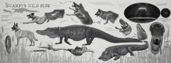 absurd_res after_vore alekthebeasty alligator alligatorid ambiguous_gender animal_genitalia bared_teeth bell bell_collar bite black_ears black_nose black_pawpads bodily_fluids bone butt_bite canid canine canis claws cloaca collar crocodilian curled_up death detailed_internal digestion digestion_noises disembodied_head disembodied_organs disposal domestic_dog duo english_text esophageal_sphincter esophagus facial_markings feral feral_pred feral_prey fully_inside genitals guts head_markings herding_dog hi_res hunting in_mouth information information_label inside_stomach internal intestines jingle_bell jingle_bell_collar leash male male_feral male_prey malinois_dog mammal markings mask_(marking) monochrome mouth_closed mouth_shot neck_bulge onomatopoeia open_mouth organs partially_inside partially_submerged pastoral_dog pawpads pet_vore prey_pov quadruped reaching reptile rumbling_stomach running_away scales scalie sheath sheepdog side_view simple_background sound_effects spiked_collar spikes stomach_acid stomach_bulge swallowing tail teeth text three-quarter_view tight_fit tongue tongue_out trachea unwilling_prey vore whining white_background
