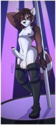 abstract_background anthro balls big_balls boots boots_only canid canine clothing footwear footwear_only fur genital_piercing genitals hand_behind_head hi_res highlights_(coloring) legwear looking_at_viewer male mammal markings mostly_nude multicolored_body multicolored_fur nipple_piercing nipples penis penis_piercing piercing platform pole prince_albert_piercing raccoon_dog red_highlights seven_(artist) shoes solo straps striped_markings striped_tail stripes stripper_pole tail tail_markings tanuki thigh_boots thigh_highs