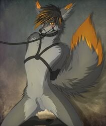 1boy 2015 anthro balls blush bondage bound canine fox fur hair male male_only mammal nirai_(artist) nude penis solo