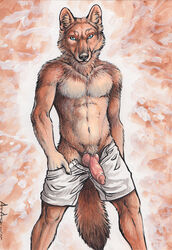 1boy 2015 abs abstract_background animal_genitalia anthro blue_eyes blue_sclera brown_fur canine canine_penis clothed clothing dhole erection front_view fur half-dressed knot looking_at_viewer male male_only mammal pants pants_down penis pose presenting presenting_penis rukis shorts solo topless traditional_media_(artwork) undressing watercolor_(artwork)