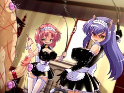 bondage breasts cat_ears cat_mistress censored clothed_female_nude_male cock_ring dominatrix femdom hiyoko_banchou large_breasts maid orgasm_denial pink_hair precum purple_hair whip whip_marks whipping