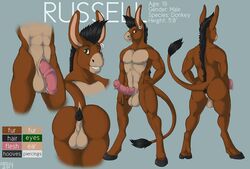 1boy animal_genitalia anthro anus balls dbd_(artist) donkey ear_piercing equine erection flaccid full-length_portrait full_length genital_piercing horsecock male male_only mammal model_sheet penis penis_piercing piercing portrait solo standing