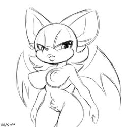 breasts female monochrome pubic_hair pussy rouge_the_bat sonic_(series) xylas