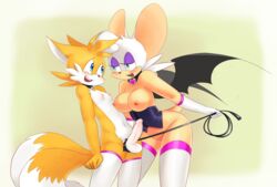 rouge the bat from sonic (series) by sparkydb