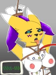 absurd_res anthro bandai_namco blue_eyes bondage bondge bound breasts cardiac_monitor cardiophile cardiophilia digimon digimon_(species) digital_media_(artwork) duo electrocardiogram female fur heartbeat hi_res medical_instrument nipples nude open_mouth renamon restraints rope rope_bondage scientific_instrument simple_background solo stethoscope submissive white_body white_fur xiaosox yellow_body yellow_fur