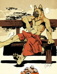 1boy anthro balls canine erection german_shepherd kanic male male_only mammal negger solo towel