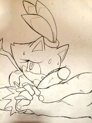 blaze_the_cat fellatio hand_holding ohyuki oral penis sex sonic_(series)