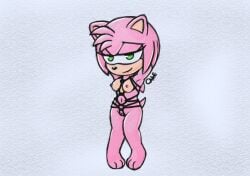 amy_rose breasts egotapenyaku female furry hands_behind_head pussy restrained shibari sonic_(series) sonic_the_hedgehog_(series)