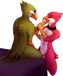 2015 after_sex alpha_channel anthro askos avian avian_(starbound) balls beak bed bird brown_eyes claws collar cum cum_in_mouth cum_inside duo feathers fur green_feathers hand_on_cheek kneeling licking licking_hand maladash male mirtilo nude open_mouth penis red_feathers simple_background sitting smile starbound tail_feathers talons tongue tongue_out transparent_background video_games yaoi