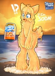 absurd_res ande_(hima_nsfw) anthro beach beverage blue_eyes canid canine caracal caracal_(genus) confusion embarrassed felid feline fox goo_creature hi_res hima_nsfw hybrid looking_down_at_self lynx male mammal null_bulge orange_body soda solo sunset