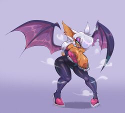 rouge the bat from sega by bigdad
