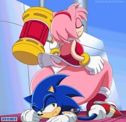 amy rose from sonic (series) by deegee