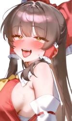 hakurei reimu from touhou by yunka117