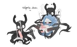 quirrel from hollow knight by alretta