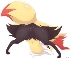 braixen from nintendo by loval