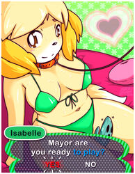 alternate_breast_size animal_crossing anthro bikini blonde_hair blush brown_eyes caption clothed collar female female_only furry isabelle_(animal_crossing) kneeling looking_at_viewer nintendo short_hair skajrzombie smile solo