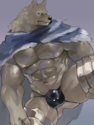 abs anthro anus bara blaidd_(elden_ring) bulge canid canine canis clothing elden_ring fromsoftware fug@9 fur male mammal muscles muscular muscular_anthro muscular_male nipples pecs solo underwear vein veiny_muscles wolf