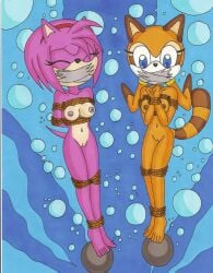 2girls amy_rose bondage breasts bubble darksonic250 drowning female gag hedgehog marine_the_raccoon nipples nude peril raccoon ropes sega sonic_(series) sonic_the_hedgehog_(series) tape thamaire underwater underwater_peril water