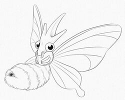 animal_genitalia arthropod female feral insects looking_at_viewer monochrome nintendo pencil_(artwork) pokemon pussy simple_background smile solo traditional_media_(artwork) venomoth video_games white_background wings yaroul